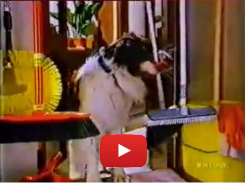 Clicca per vedere il video